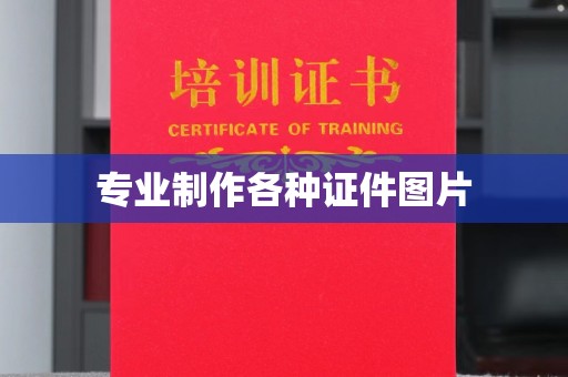 宁乡专业制作各种证件图片