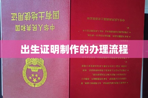 宁乡出生证明制作的办理流程