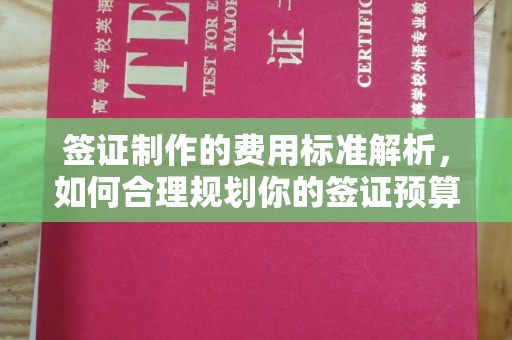 宁乡签证制作的费用标准解析，如何合理规划你的签证预算