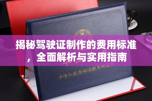 宁乡揭秘驾驶证制作的费用标准，全面解析与实用指南