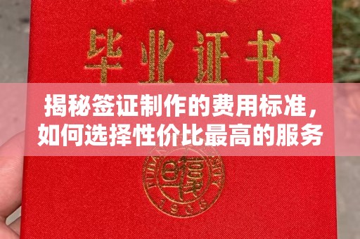 宁乡揭秘签证制作的费用标准，如何选择性价比最高的服务？