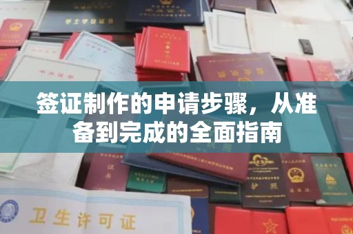 宁乡签证制作的申请步骤，从准备到完成的全面指南