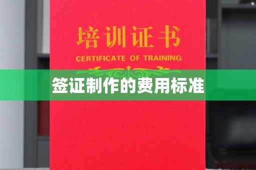 宁乡签证制作的费用标准