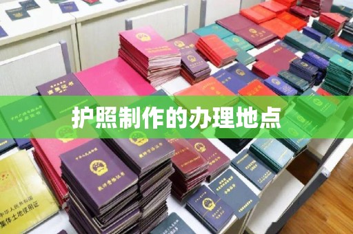 宁乡护照制作的办理地点