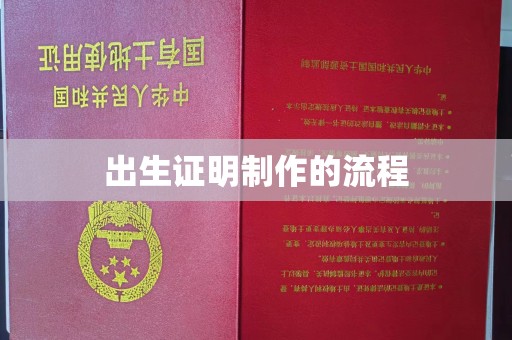 宁乡出生证明制作的流程