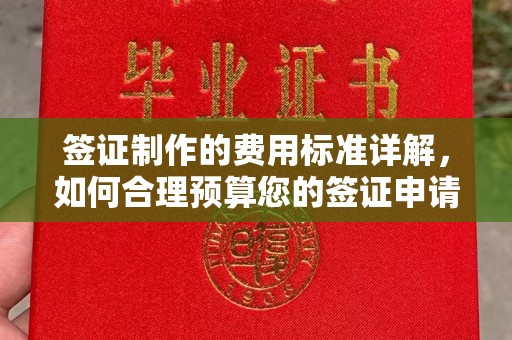 宁乡签证制作的费用标准详解，如何合理预算您的签证申请成本