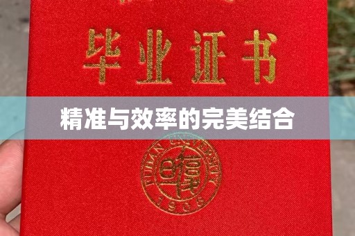 宁乡精准与效率的完美结合